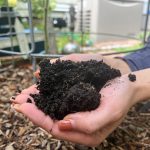article image - Gardening-Soil Health